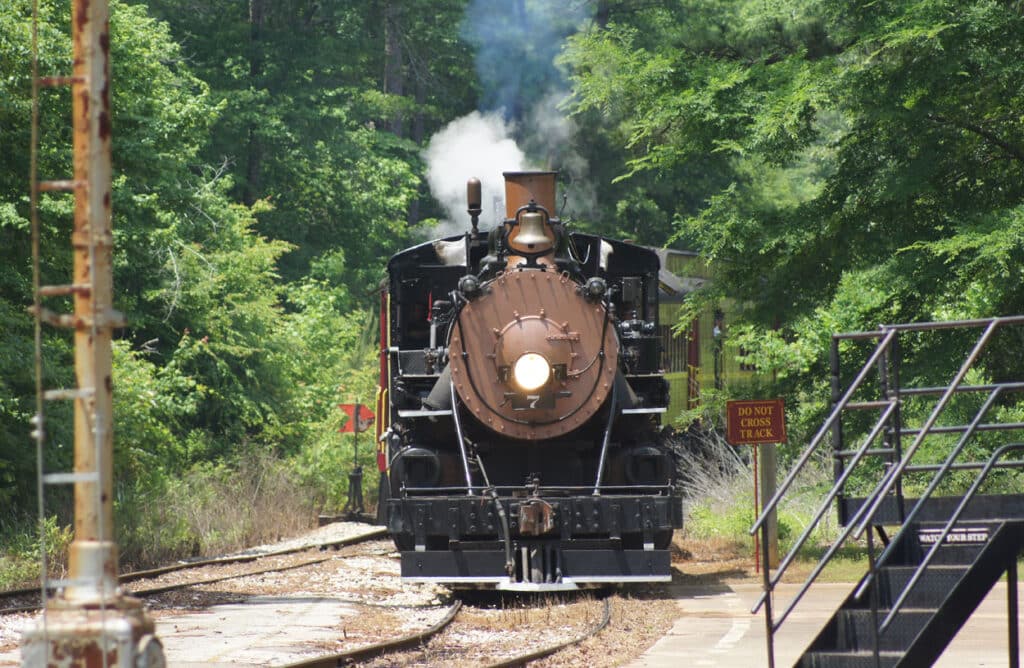 texas state railroad steam engine train